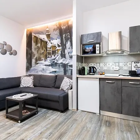 Apartment Okbrasov - & In The Heart Of Old Town, Moments Away From The Black Church Brașov